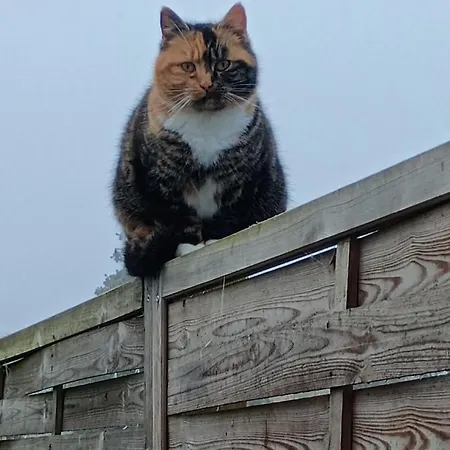 Appartamento Bauer *