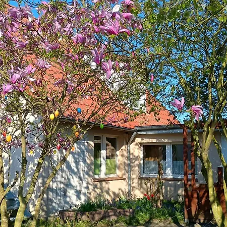 Appartamento Bauer *