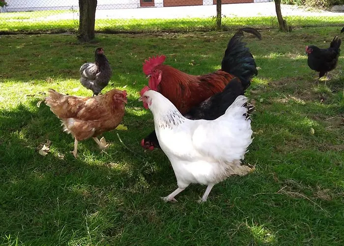 Apartamento Bauer Gotthun