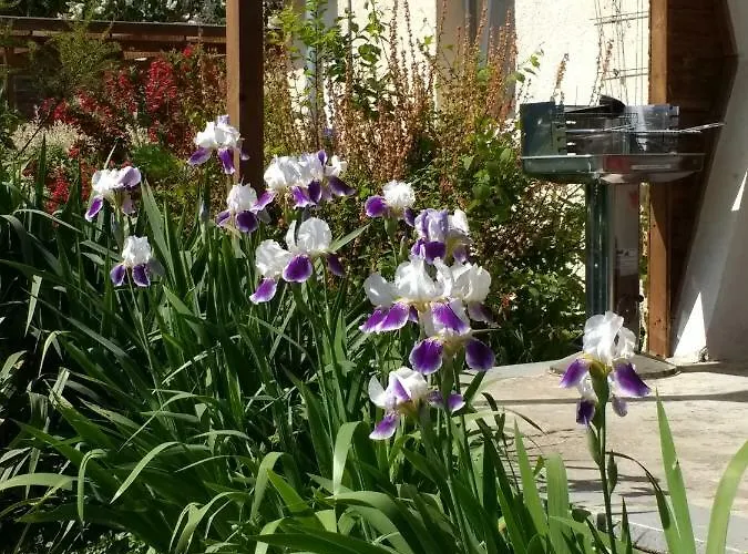 Apartamento Bauer Gotthun